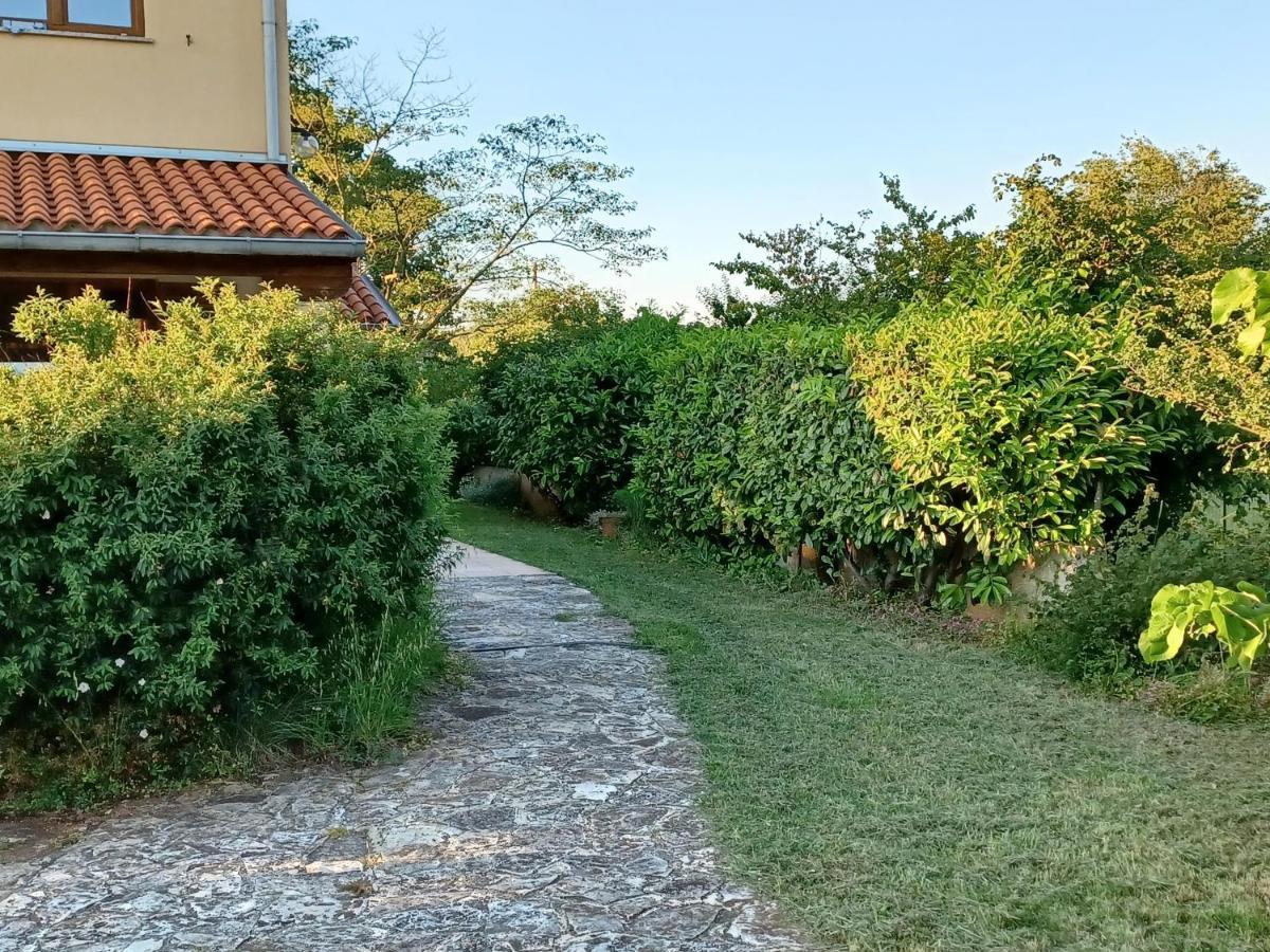 Kamik 1 Apartman Banjole Kültér fotó
